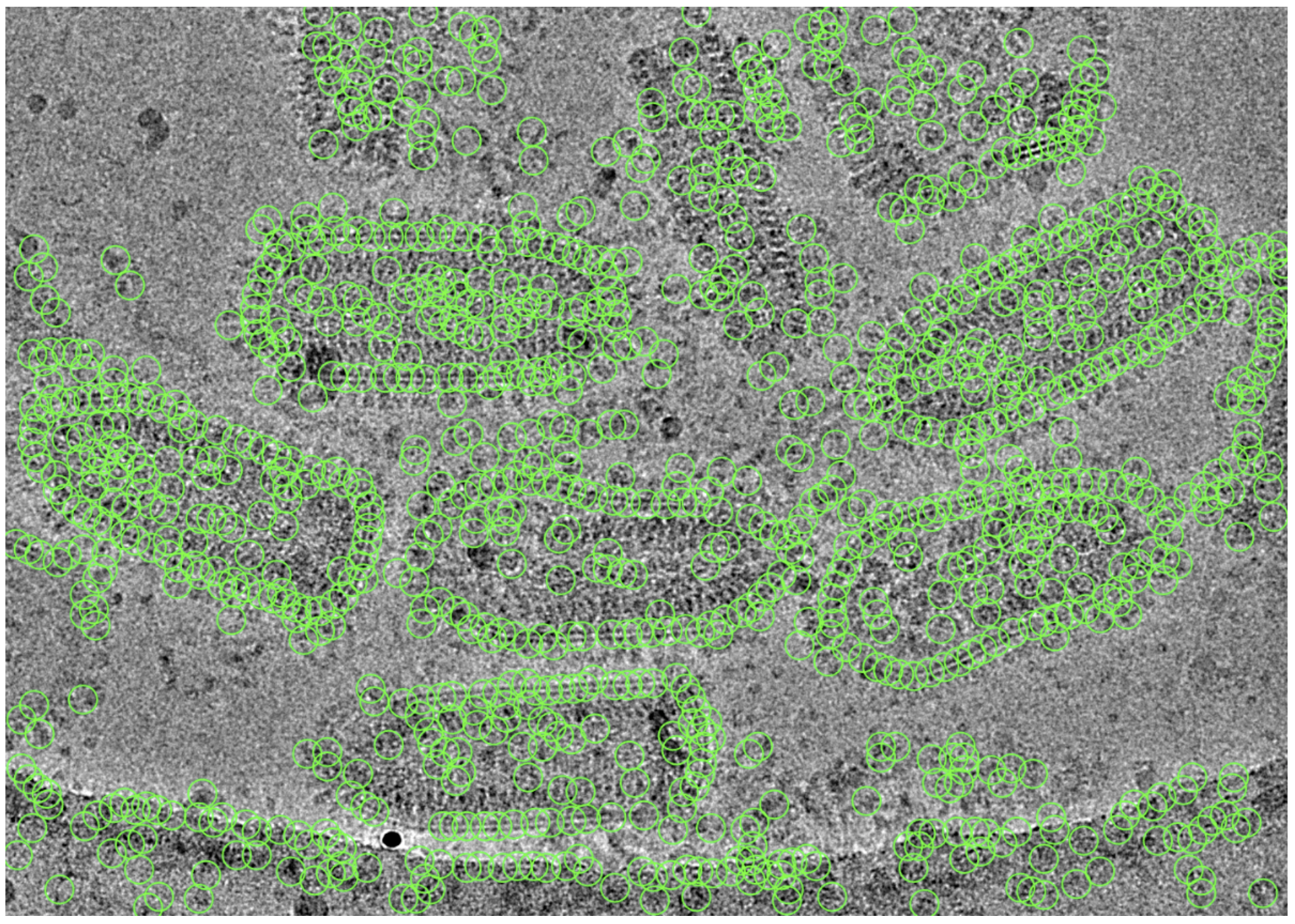 Particles picked using cryoSPARC